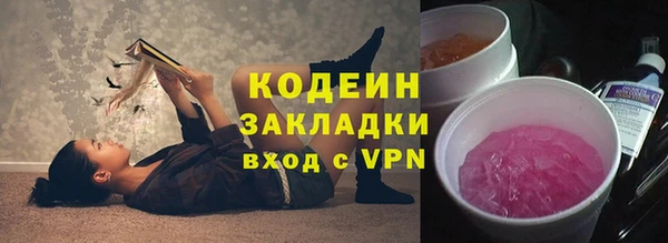 прущие грибы Абинск