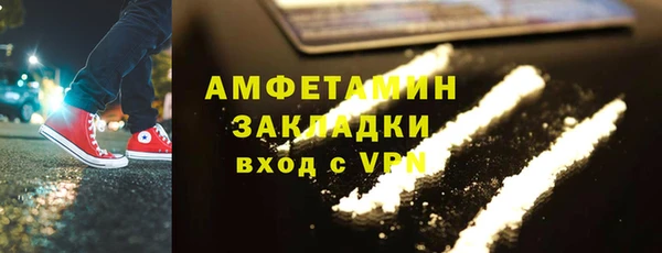 прущие грибы Абинск