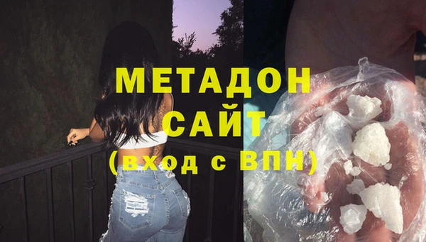 прущие грибы Абинск